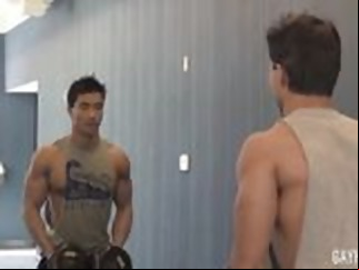 stud: muscle gaysex